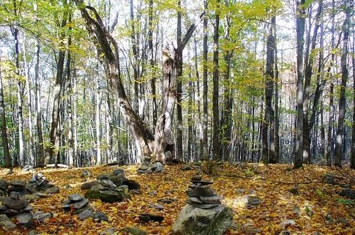 Best Hikes and Trails in Parc du Bois-Beckett | AllTrails