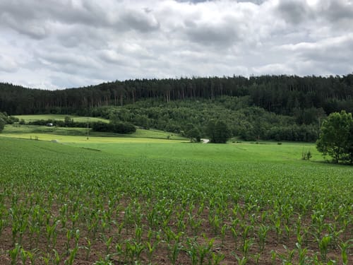 Rund um Wilhermsdorf