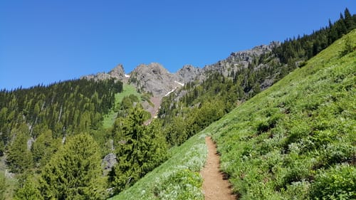 Switchback trail 2025 olympic national park