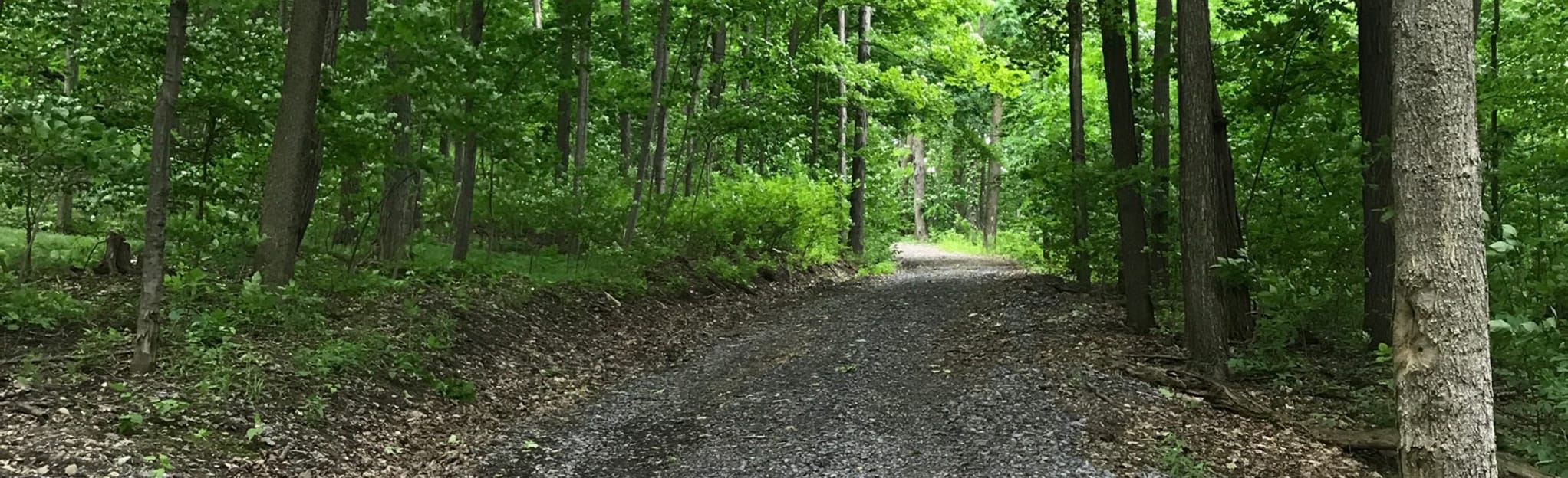 Prospect Hill Park Loop, New York 22 Reviews, Map AllTrails