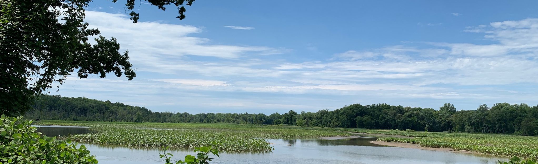 Pohick Bay Regional Park: Red Trail, Virginia - 418 Reviews, Map ...