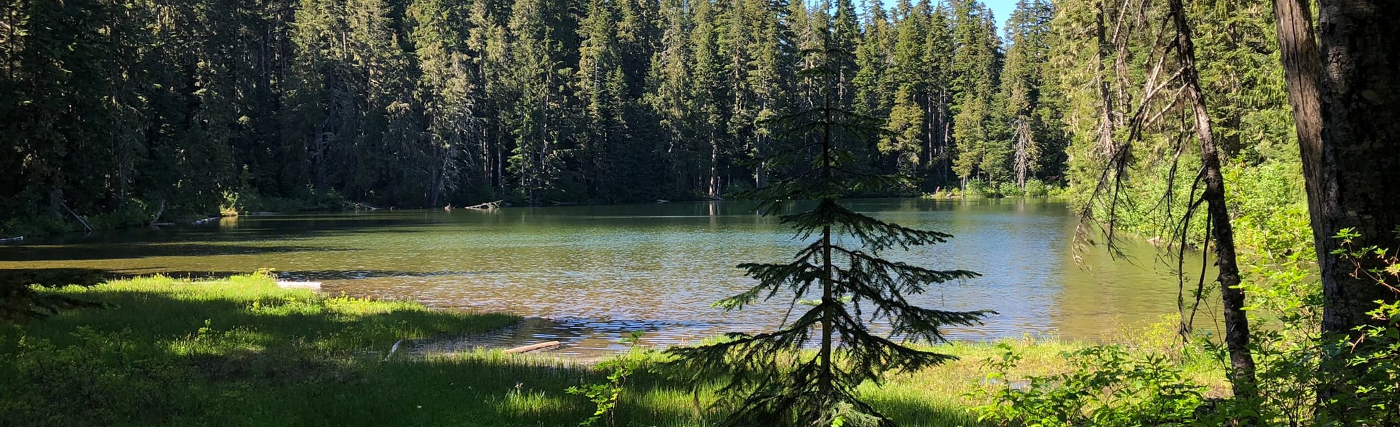 Klickitat Trail, Washington 8 Reviews, Map AllTrails