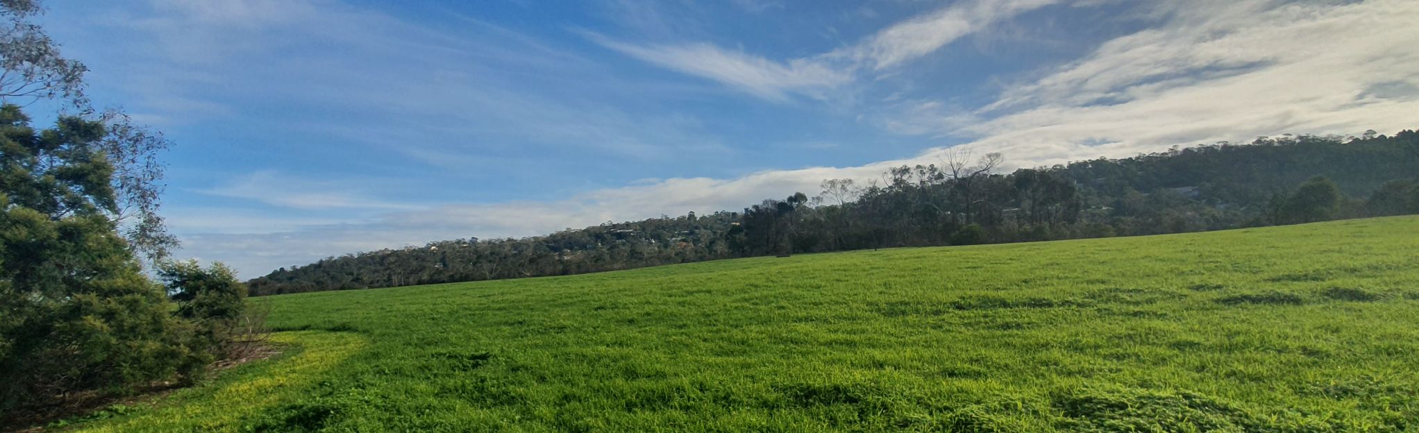 Mount Eliza Quarry and Park: 131 Reviews, Map - Victoria, Australia | AllTrails