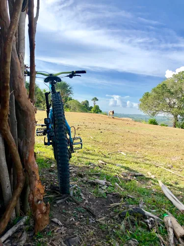 Funcake mountain bike trail sale