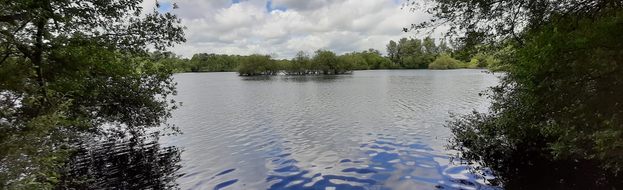 Twyford and Loddon Lakes Circular 96 foto's Berkshire, Engeland