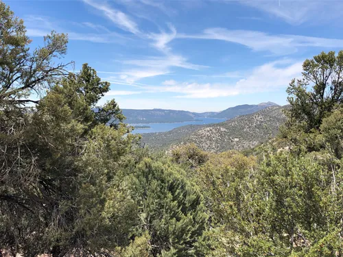 Hiking in big bear with clearance dogs