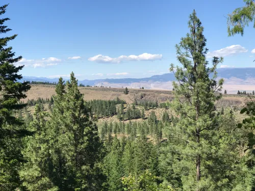 10 Best Trails and Hikes in Ellensburg | AllTrails