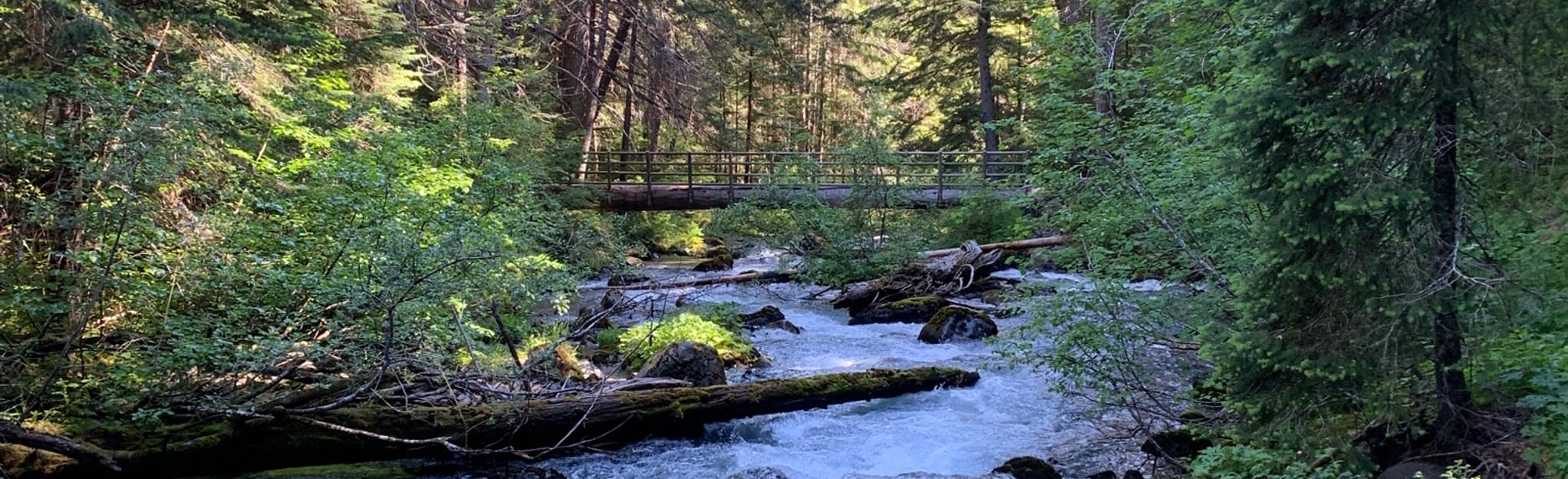 Upper Dungeness Trail to Handy Camp 407 Reviews, Map Washington