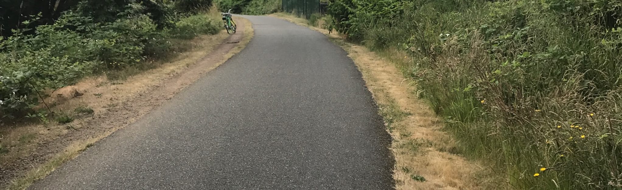 Burke Gilman Trail Matthews Beach - EyJidWNrZXQiOiJhc3NldHMuYWxsdHJhaWxzLmNvbSIsImtleSI6InVwbG9hZHMvcGhvdG8vaW1hZ2UvMjI5Njc0NTcvMjE3ZTM0NGZkNmNjOTNhM2E2YWViOWY0ZDkzOGZiNDkuanBnIiwiZWRpdHMiOnsidG9Gb3JtYXQiOiJqcGVnIiwicmVzaXplIjp7IndpZHRoIjoyMDQ0LCJoZWlnaHQiOjYyNCwiZml0IjoiY292ZXIifSwicm90YXRlIjpudWxsLCJqcGVnIjp7InRyZWxsaXNRdWFudGlzYXRpb24iOnRydWUsIm92ZXJzaG9vdERlcmluZ2luZyI6dHJ1ZSwib3B0aW1pc2VTY2FucyI6dHJ1ZSwicXVhbnRpc2F0aW9uVGFibGUiOjN9fX0=