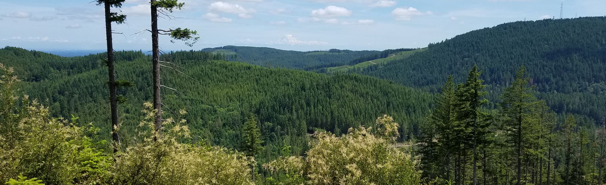 Gold Creek Trail, Green Mountain, and Wildcat Trail OHV Trail ...