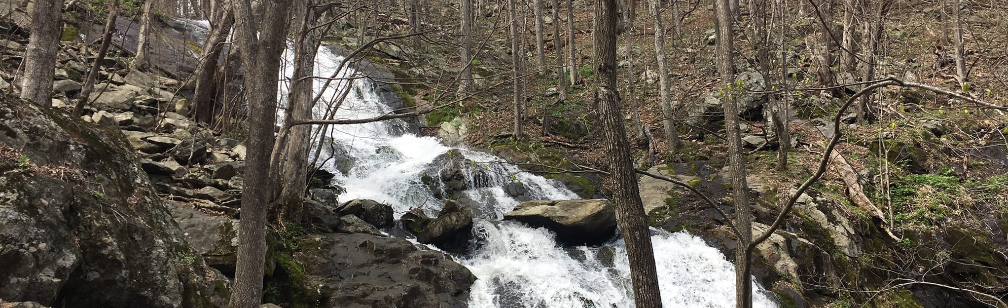 Shamokin Falls via Shamokin Springs Nature Preserve Trail 367 Reviews