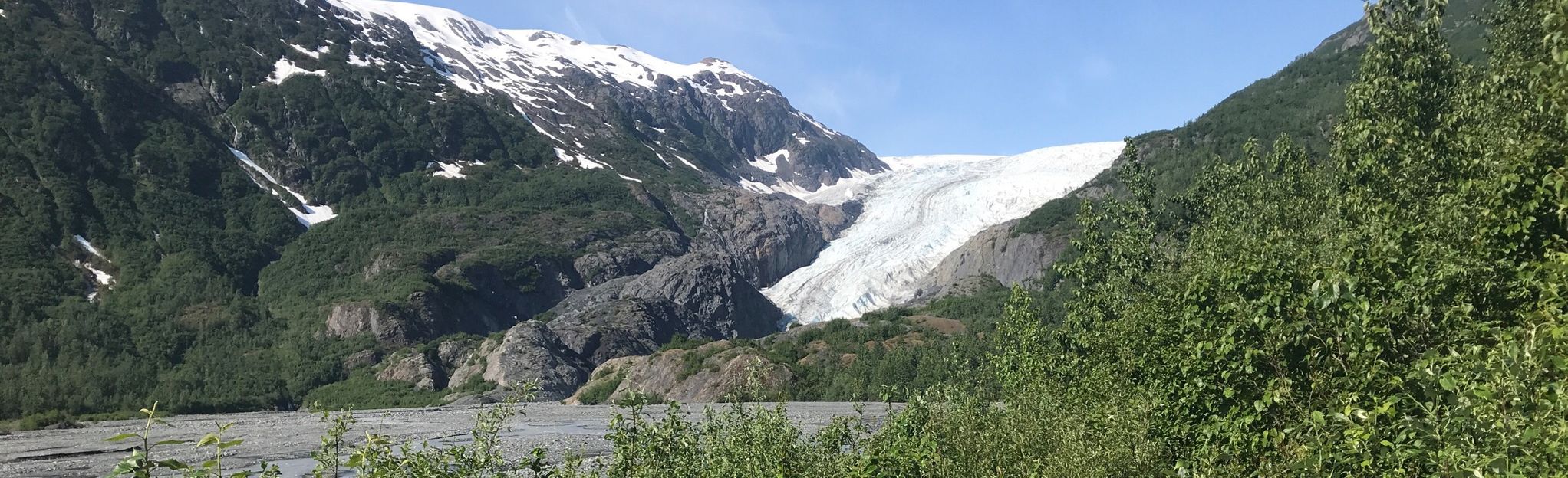 Exit Glacier View Loop Alaska 83 Reviews Map Alltrails 6462