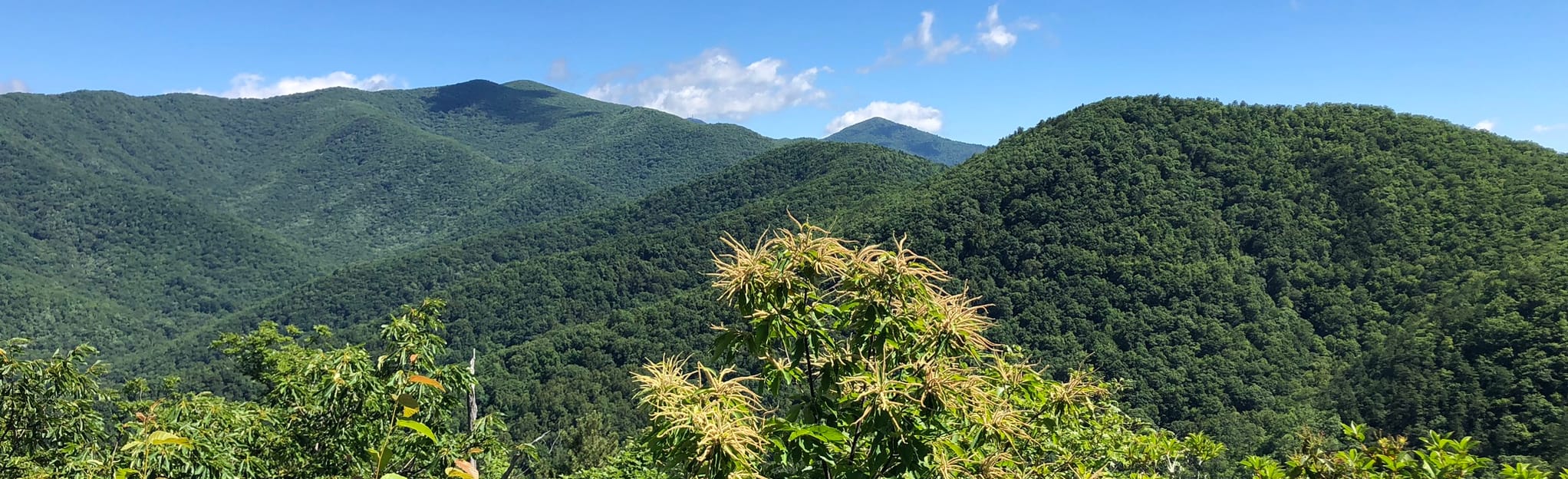 Montreat Rainbow Road, Toll Road, Lookout Mountain 1,418 Reviews, Map