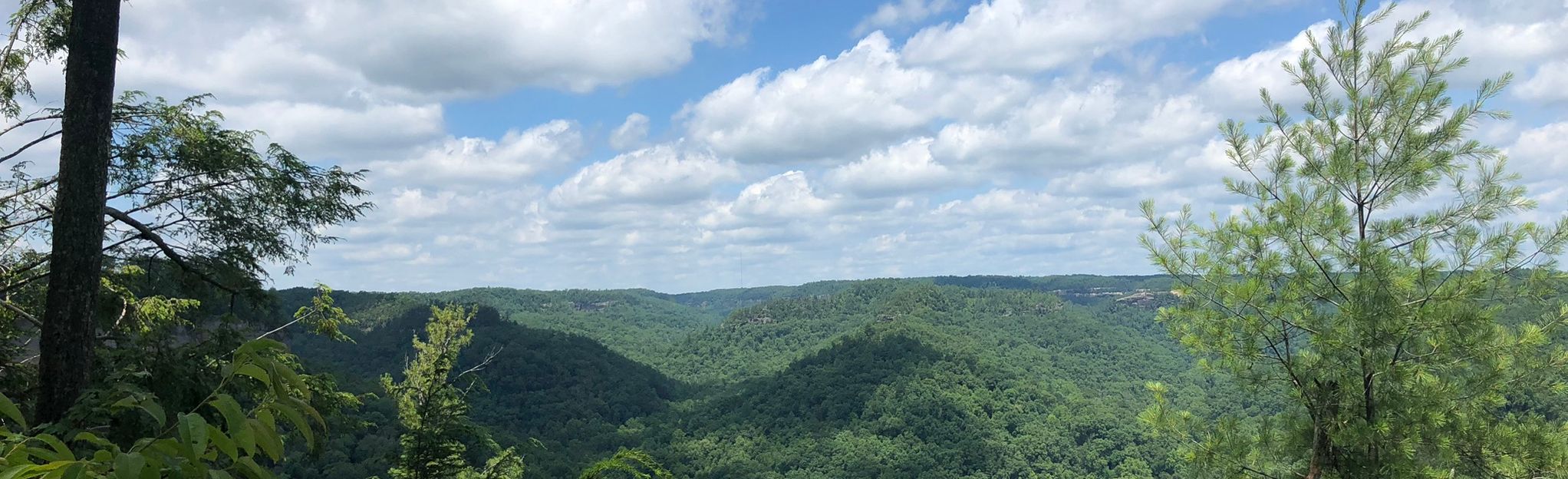 Silvermine Arch via Rough Trail: 89 Reviews, Map - Kentucky | AllTrails