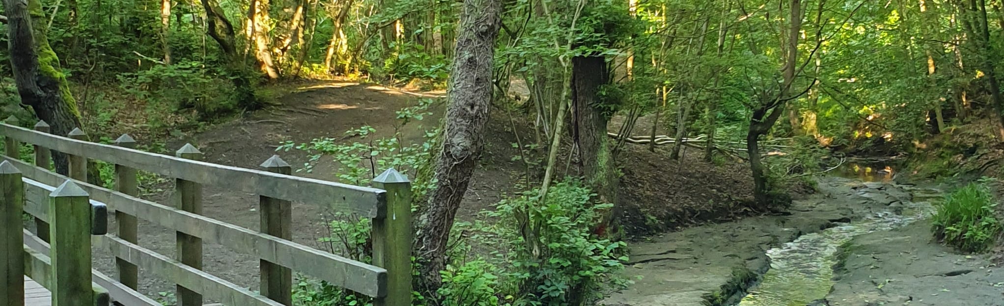 Humford Mill to Hartford Bridge 26 Reviews, Map Northumberland