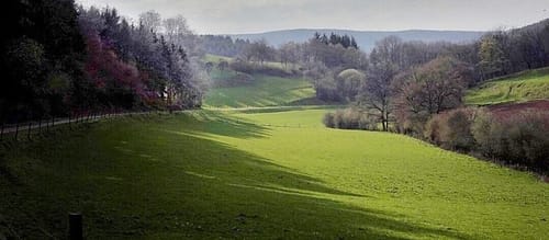Kurzer Rundweg ab Hausen