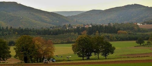 Hoppenhardt, Gieschardt, und Scharberg
