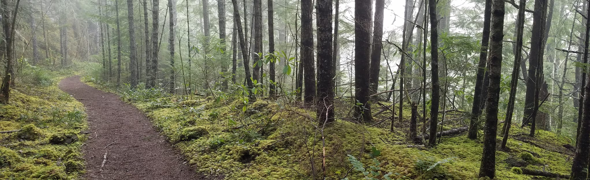 Lower Big Quilcene to Notch Pass Trail Junction 704 Reviews, Map