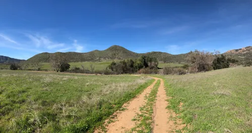 Best Hikes and Trails in Hollenbeck Canyon Wildlife Area | AllTrails