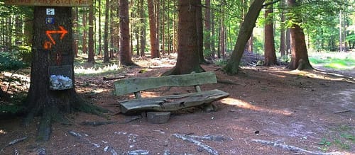 Naturlehrpfad Meroder Wald