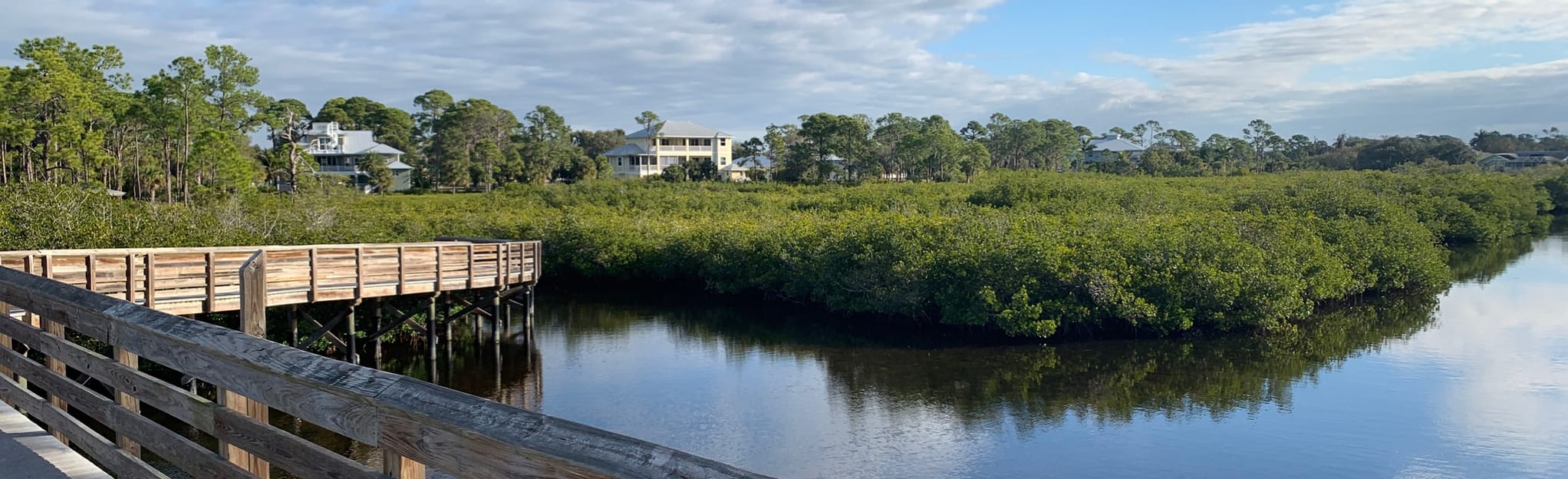 Oyster Creek Red and Green Trail, Florida 122 Reviews, Map AllTrails