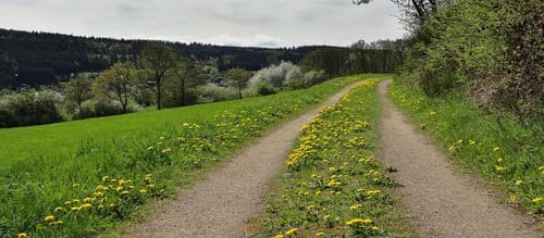Rund um Schöneseiffen 