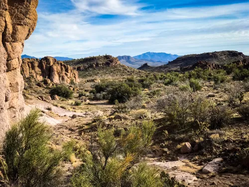 10 Best Trails and Hikes in Kingman | AllTrails