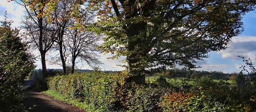 Unterwegs in Konzen