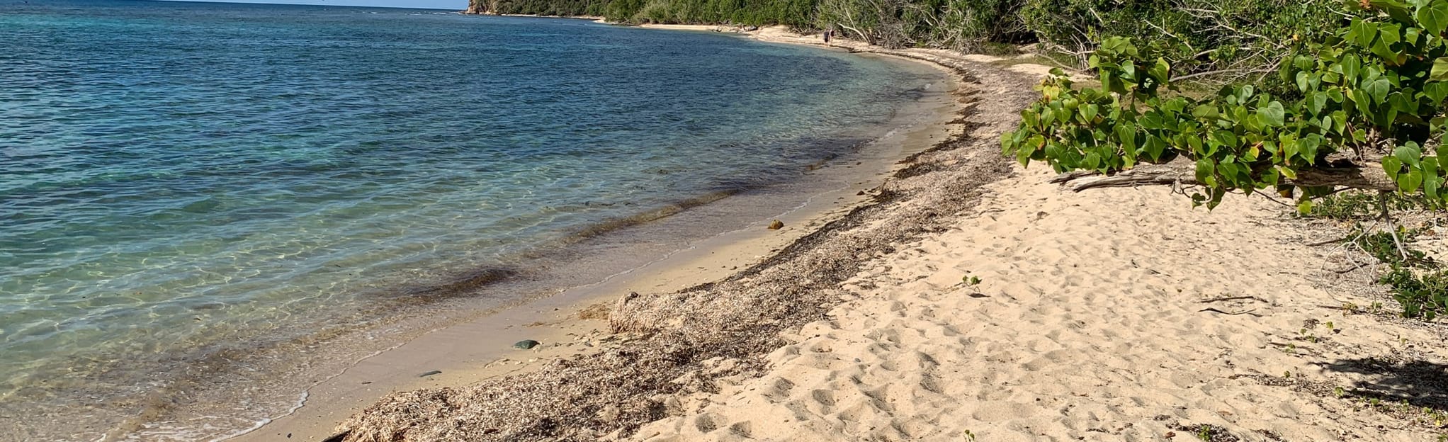 L'Esperance Trail, Saint John, US Virgin Islands 133 Reviews, Map