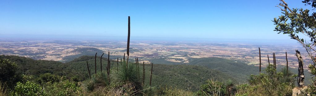 are dogs allowed at bunya mountains