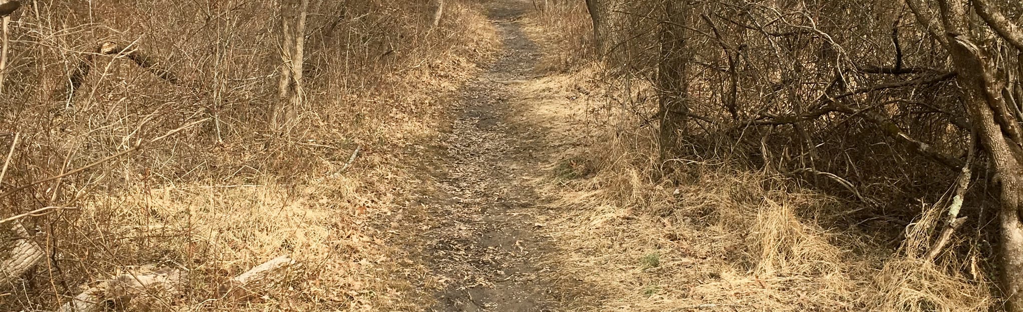 Peace Valley Park Double Loop 273 Reviews, Map Pennsylvania AllTrails