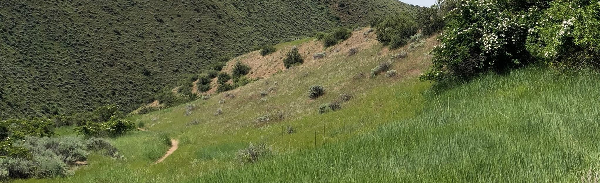 Three Bears Trail 37 Reviews, Map Idaho AllTrails