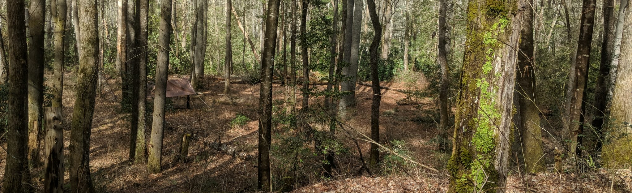 East Fork, Chattooga River, Foothills Connector, and Foothills Trails