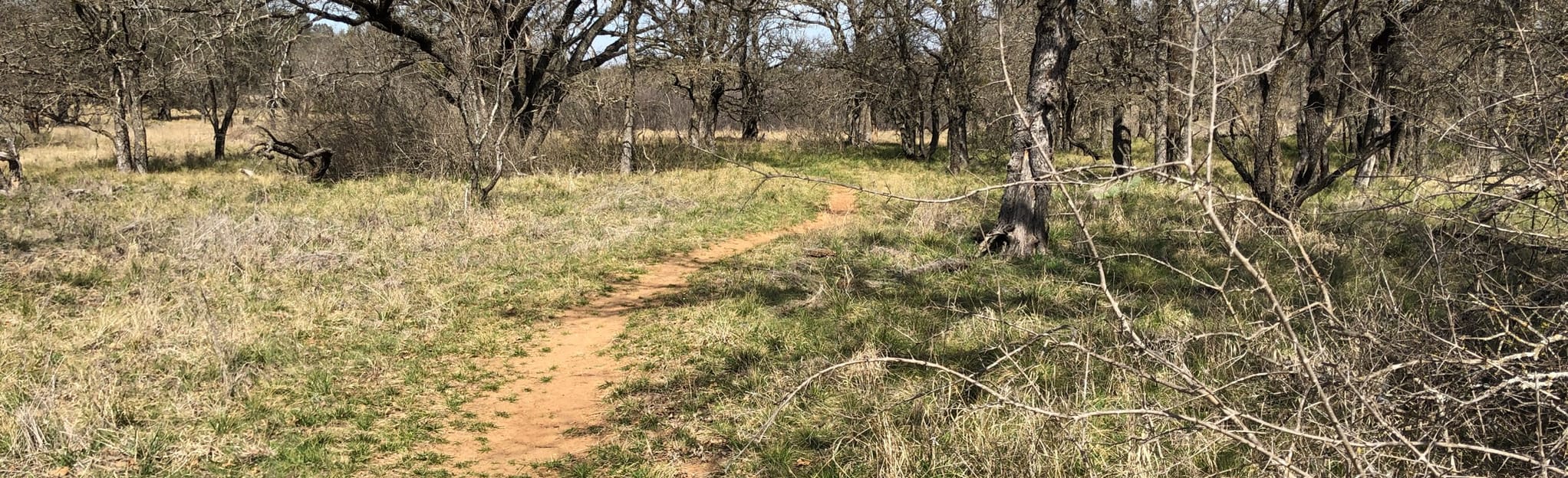 Nopales Ridge Trail, Texas 115 Reviews, Map AllTrails