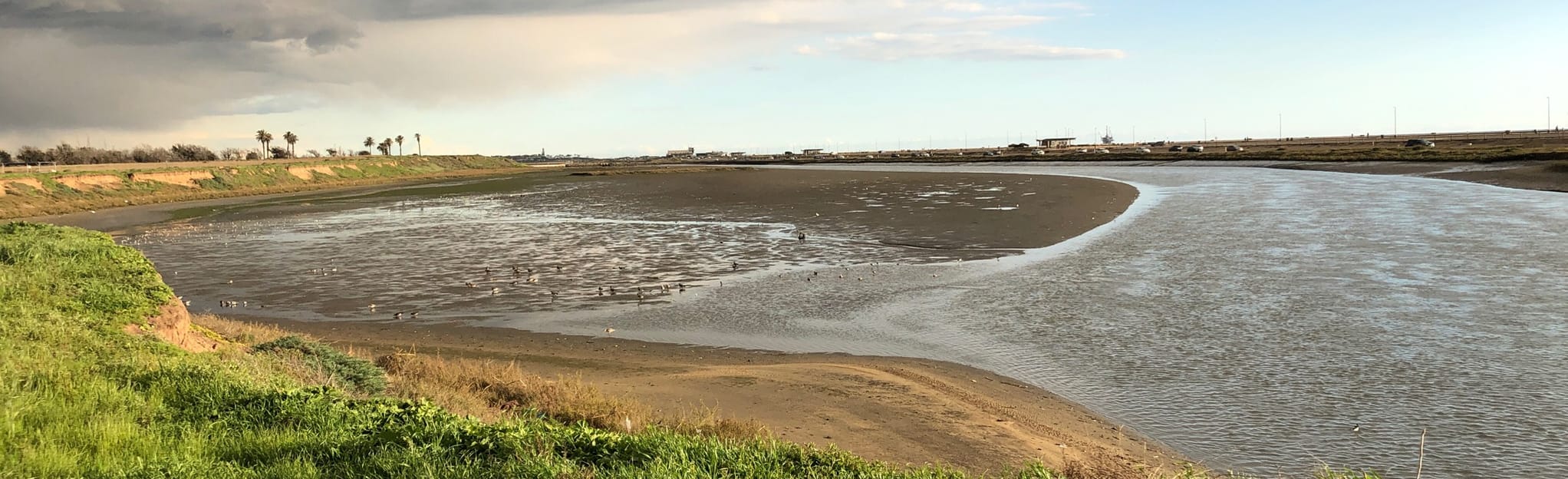 Bolsa Chica Ecological Reserve North Loop Map, Guide California