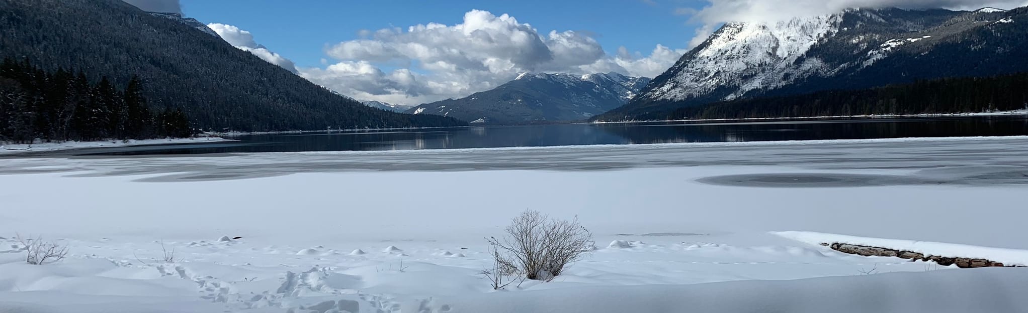 Lake Wenatchee South Snowshoe Trails 172 Reviews, Map Washington