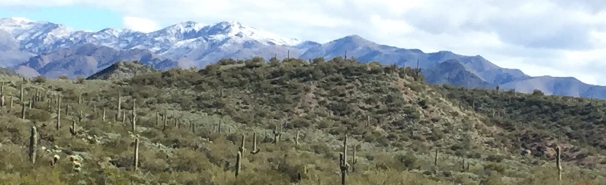 Black Canyon Trail Table Mesa - EyJidWNrZXQiOiJhc3NldHMuYWxsdHJhaWxzLmNvbSIsImtleSI6InVwbG9hZHMvcGhvdG8vaW1hZ2UvMjIxMTA5OTcvNGFmNzFiZDU2YTQzYTdiMzFhYmE2MmY1MGQ2ZmRjY2YuanBnIiwiZWRpdHMiOnsidG9Gb3JtYXQiOiJqcGVnIiwicmVzaXplIjp7IndpZHRoIjoyMDQ0LCJoZWlnaHQiOjYyNCwiZml0IjoiY292ZXIifSwicm90YXRlIjpudWxsLCJqcGVnIjp7InRyZWxsaXNRdWFudGlzYXRpb24iOnRydWUsIm92ZXJzaG9vdERlcmluZ2luZyI6dHJ1ZSwib3B0aW1pc2VTY2FucyI6dHJ1ZSwicXVhbnRpc2F0aW9uVGFibGUiOjN9fX0=