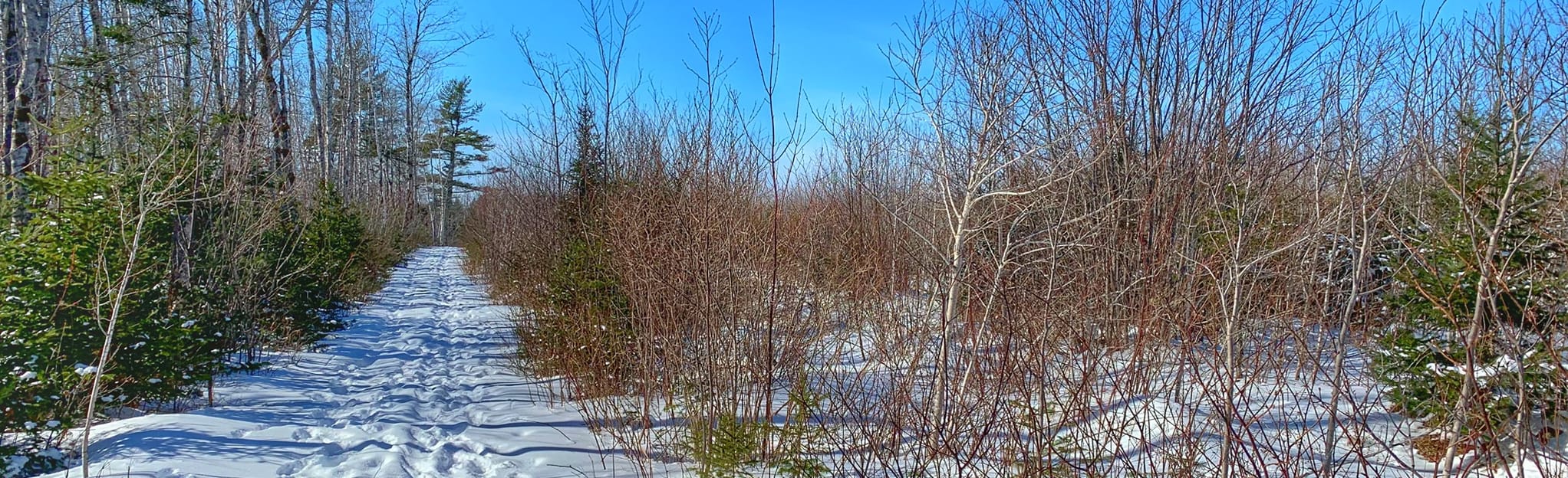 Little River Falls 109 Reviews, Map Nova Scotia, Canada AllTrails