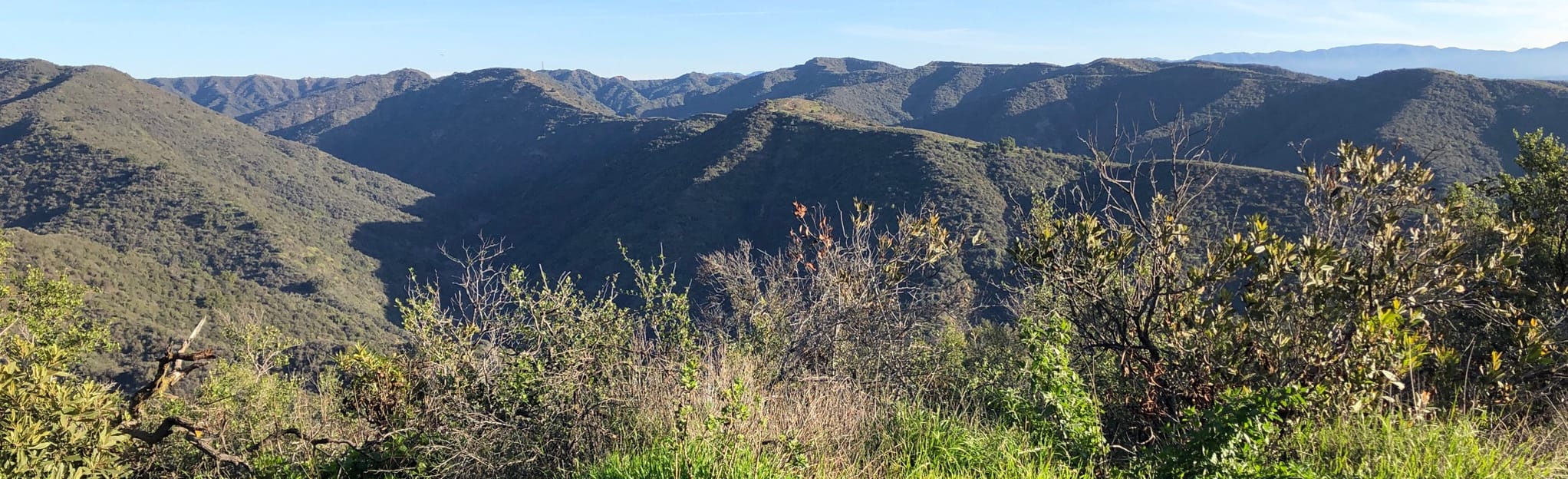 Backbone Trail and Temescal Canyon Road From Will Rogers State Park