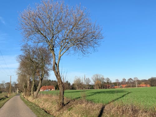 Lönsberg - Bramberg - Höcklenkamp