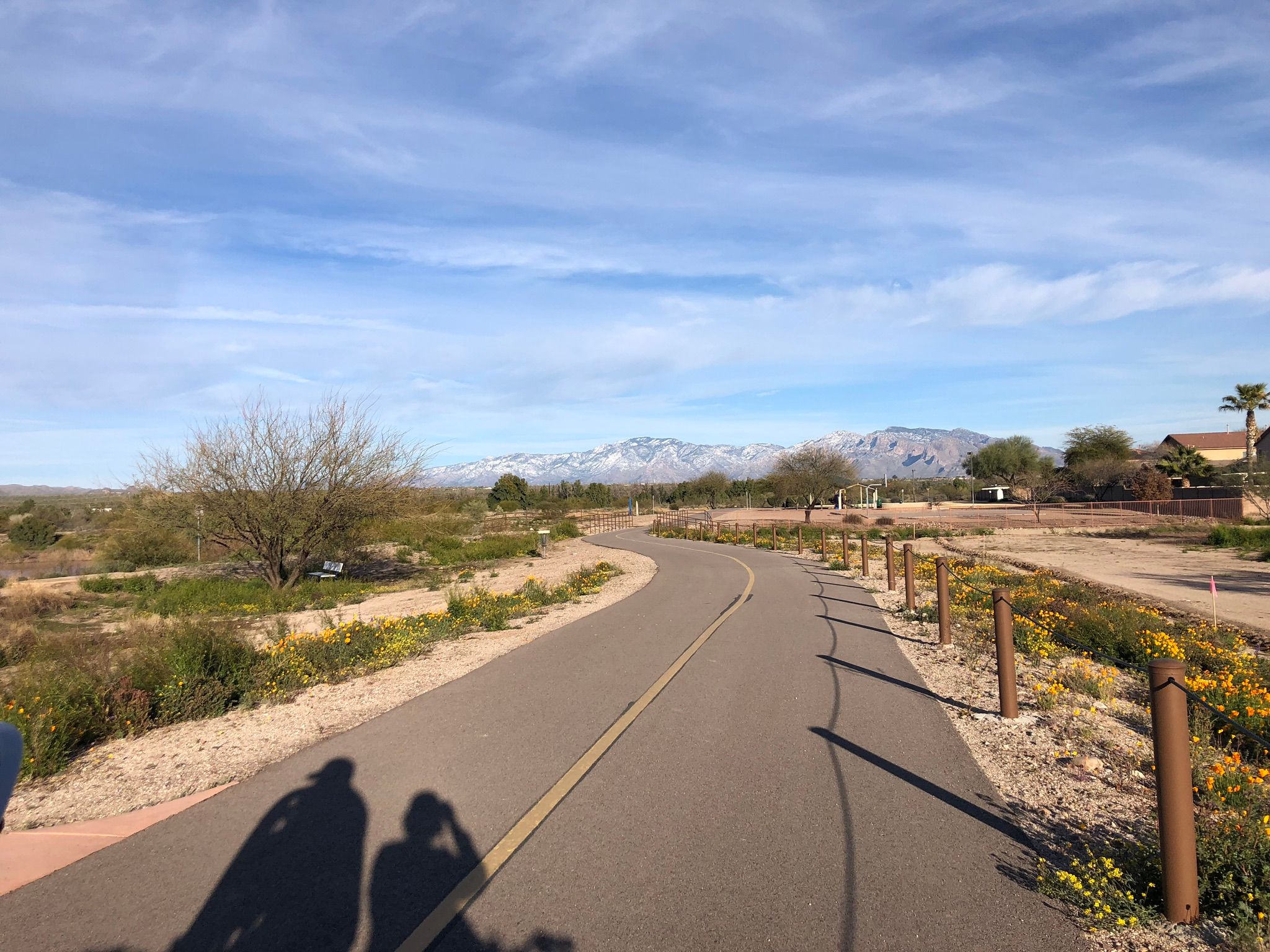 Photos of Santa Cruz River Park Trail North Arizona AllTrails