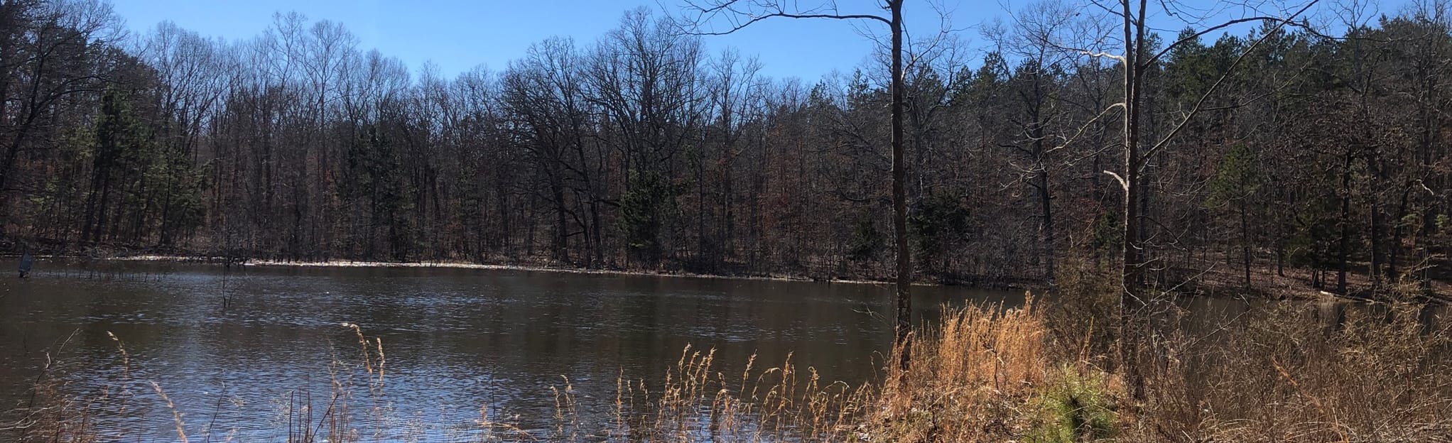 The Ozark Trail Between the Rivers Section Missouri AllTrails