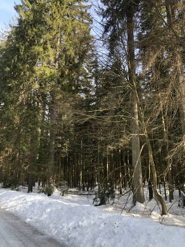 Entlang des Schmalzbachs zum Schwellhäusl