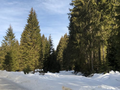 Mit dem Rad zum Schwellhäusl