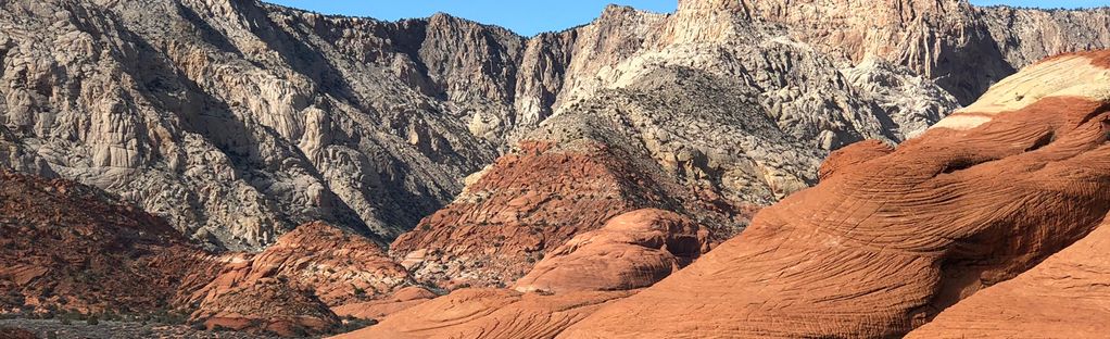 are dogs allowed in snow canyon state park