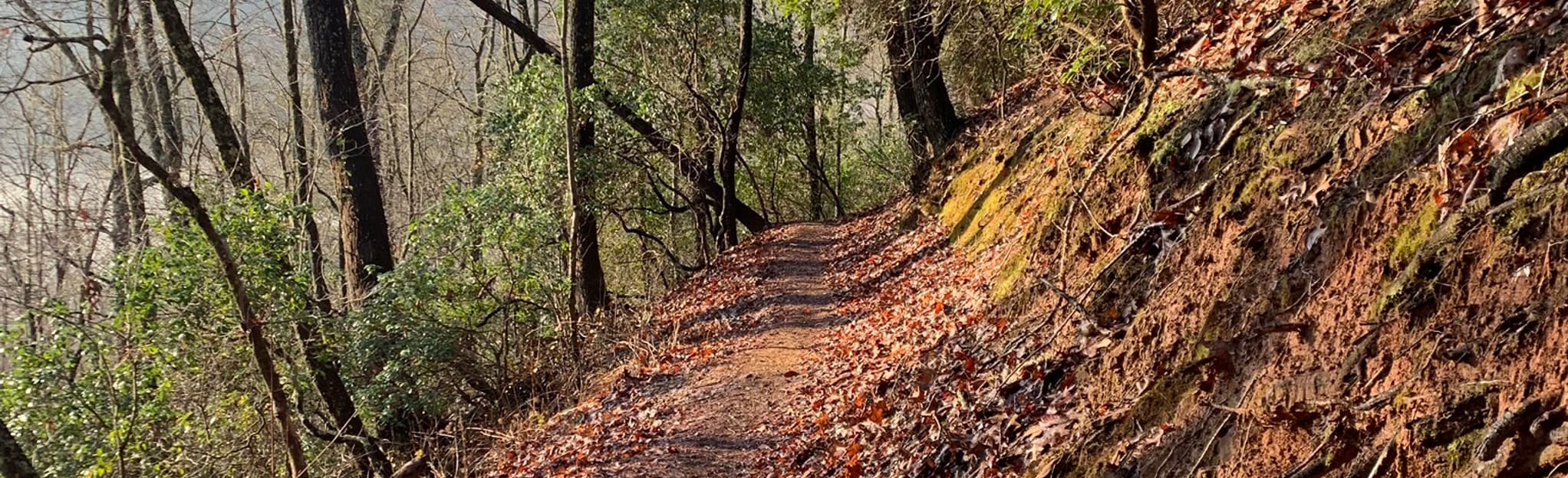 Cullowhee Connector (Yellow Blazes), North Carolina 189 Reviews, Map