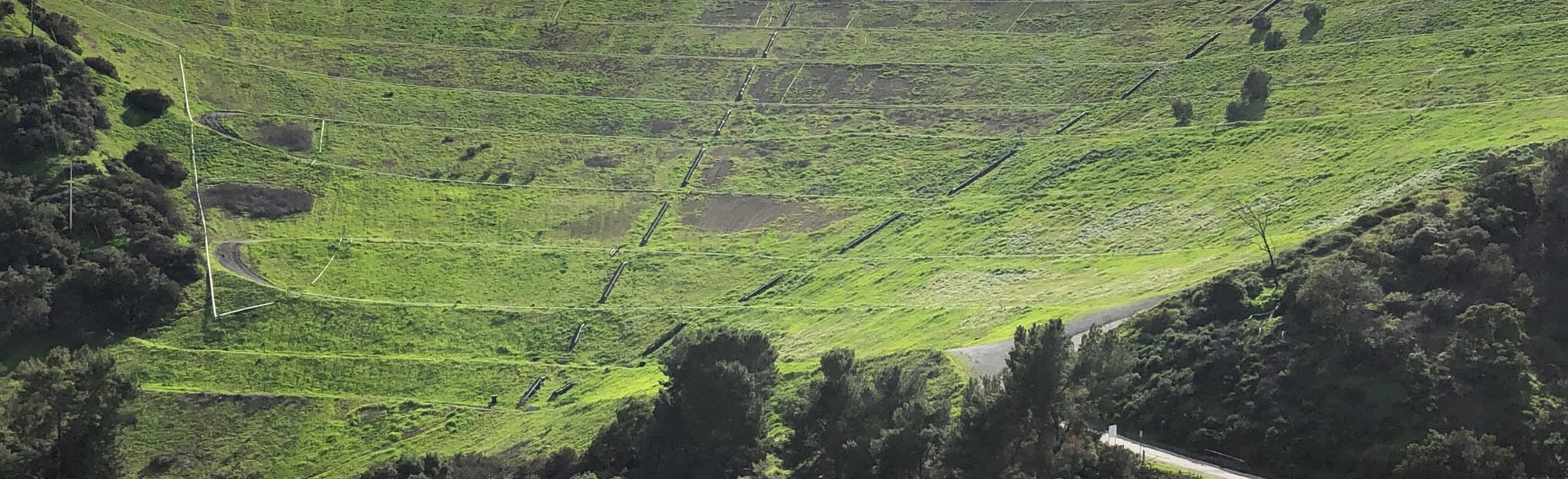 Condor, Skyline and Rattlesnake Trail 259 fotos Califórnia AllTrails