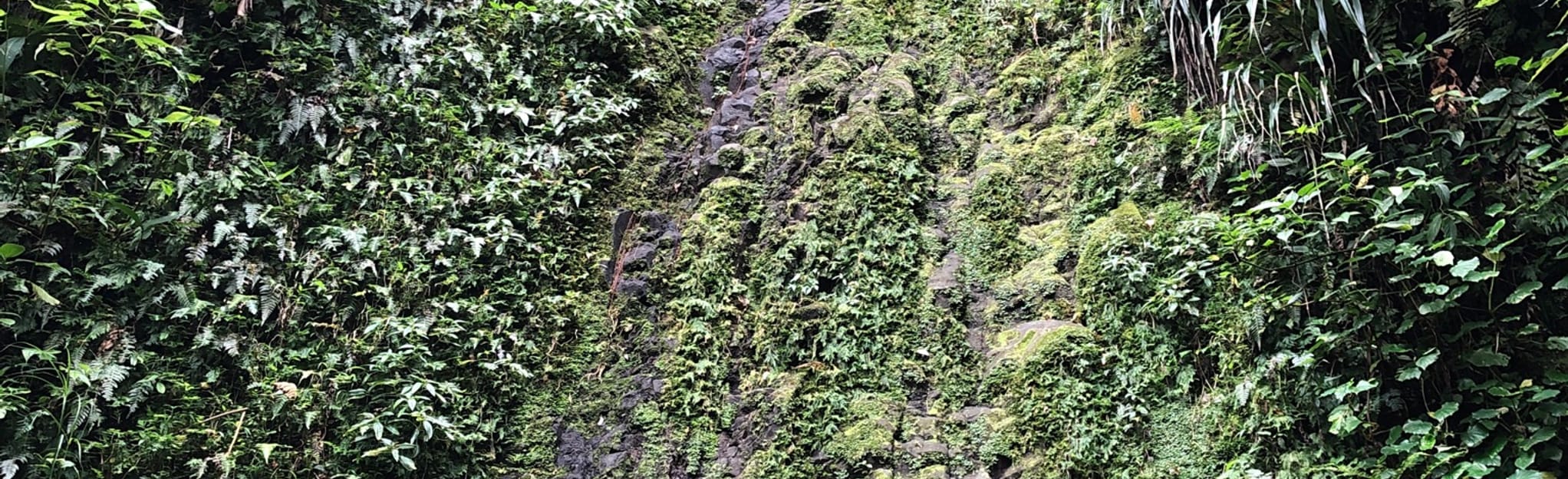 Baker Hill to Dry Waterfall Circular 14 Fotos Saint Peter