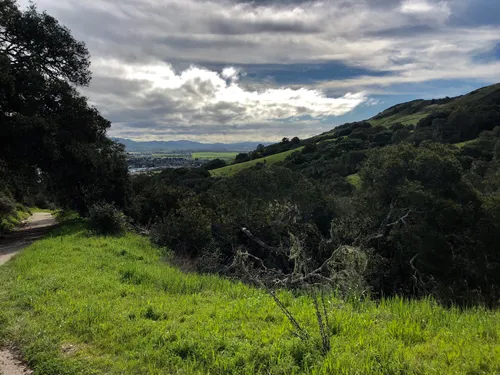 Best 10 Hikes and Trails in Irish Hills Open Space | AllTrails