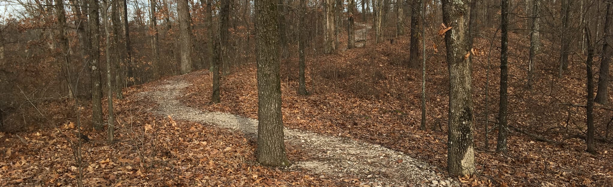 Kinder Cemetery Loop, Missouri 25 Reviews, Map AllTrails